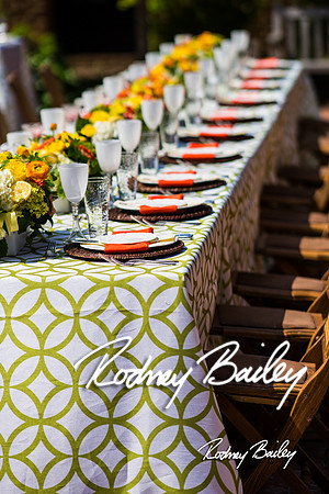 5-20-14 NACE MAY MEETING-GUNSTON HALL_Rodney Bailey Photography_0116