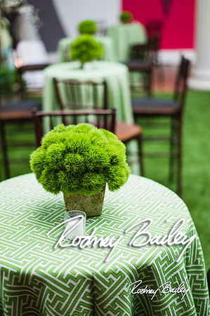 4-25-14 CORCORAN BALL DECOR_Rodney Bailey Photography_EventPhotojournalism_0107