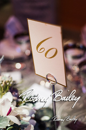 4-25-14 CORCORAN BALL DECOR_Rodney Bailey Photography_EventPhotojournalism_0194