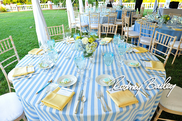 Oatlands Historic House and Gardens Weddings_wedding photography Oatlands Historic House and Gardens Virginia_Oatlands Historic House and Gardens Leesburg Virginia Wedding Photographer