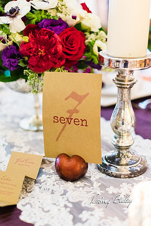 0372__3-1-15_Capital Bridal Affair and Fashion Show_The Mayflower Renaissance_Washington DC_Wedding Photography by Rodney Bailey