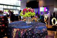 0012__8-2-25_Damien-Dwin-Celebration-National-Museum-of-African-American-Museum-Washington-DC-event-Rodney-Bailey-Photography