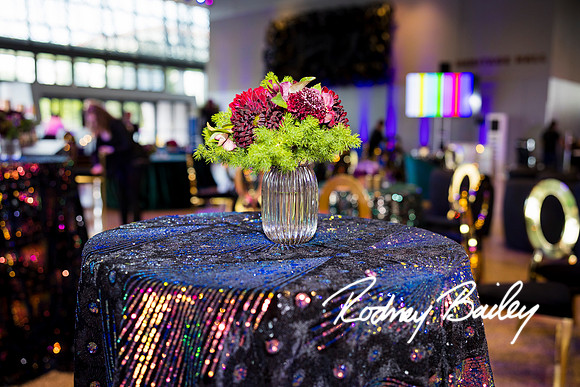0012__8-2-25_Damien-Dwin-Celebration-National-Museum-of-African-American-Museum-Washington-DC-event-Rodney-Bailey-Photography