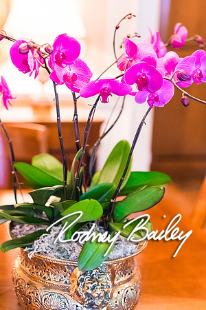 0253__10-28-14 _Bergerons Flowers_Rodney Bailey Photography
