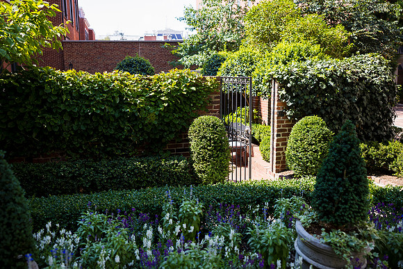 0008__Well-Dunn-Catering-Decatur-House-Washington-DC-Rodney-Bailey-Photography