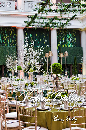4-25-14 CORCORAN BALL DECOR_Rodney Bailey Photography_EventPhotojournalism_0232