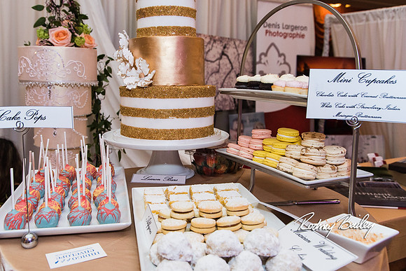 0419__3-1-15_Capital Bridal Affair and Fashion Show_The Mayflower Renaissance_Washington DC_Wedding Photography by Rodney Bailey
