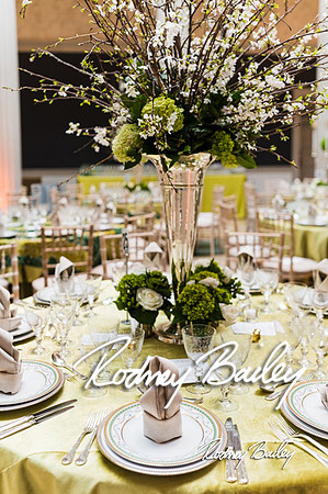 4-25-14 CORCORAN BALL DECOR_Rodney Bailey Photography_EventPhotojournalism_0010