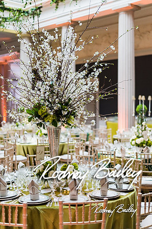 4-25-14 CORCORAN BALL DECOR_Rodney Bailey Photography_EventPhotojournalism_0216