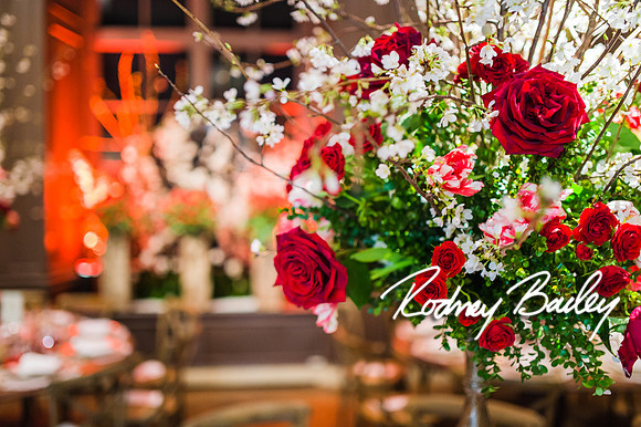 4-25-14 CORCORAN BALL DECOR_Rodney Bailey Photography_EventPhotojournalism_0395