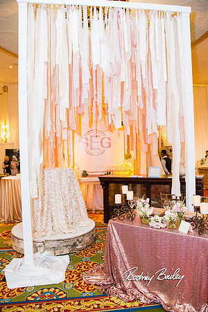 0371__3-1-15_Capital Bridal Affair and Fashion Show_The Mayflower Renaissance_Washington DC_Wedding Photography by Rodney Bailey