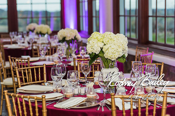 Raspberry-Plain-Leesburg-VA-wedding-Rodney-Bailey-Wedding-Photography