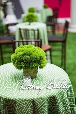 4-25-14 CORCORAN BALL DECOR_Rodney Bailey Photography_EventPhotojournalism_0107