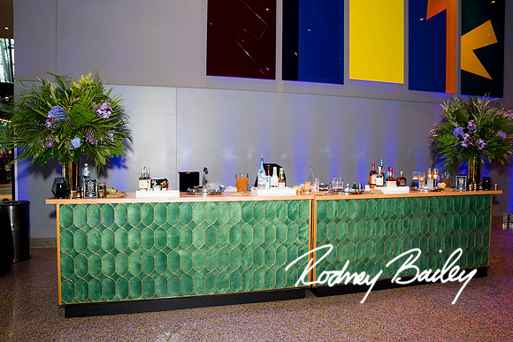 0111__8-2-25_Damien-Dwin-Celebration-National-Museum-of-African-American-Museum-Washington-DC-event-Rodney-Bailey-Photography