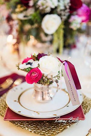 0400__3-1-15_Capital Bridal Affair and Fashion Show_The Mayflower Renaissance_Washington DC_Wedding Photography by Rodney Bailey