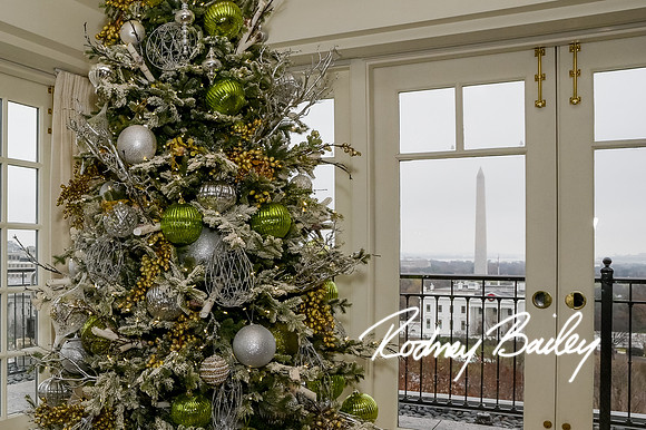 0031__12-11-22_Tishman-Speyer-Holiday-Brunch-Hay-Adams-Hotel-DC-Washington-DC-EventPhotojournalism-event-photographers