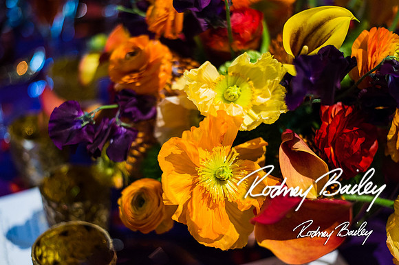 4-25-14 CORCORAN BALL DECOR_Rodney Bailey Photography_EventPhotojournalism_0169