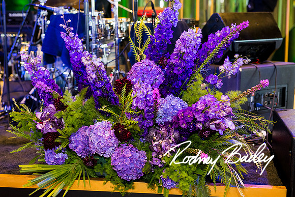 0095__8-2-25_Damien-Dwin-Celebration-National-Museum-of-African-American-Museum-Washington-DC-event-Rodney-Bailey-Photography