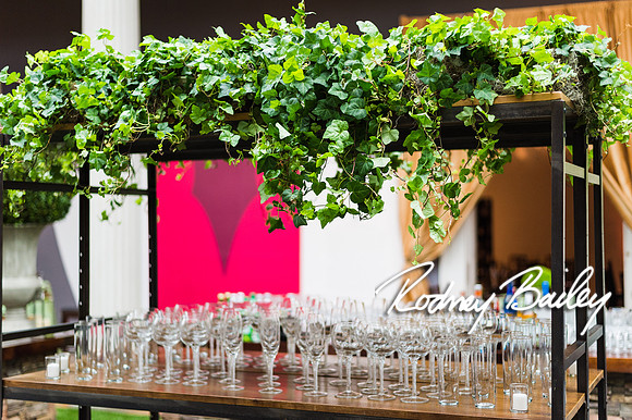 4-25-14 CORCORAN BALL DECOR_Rodney Bailey Photography_EventPhotojournalism_0142