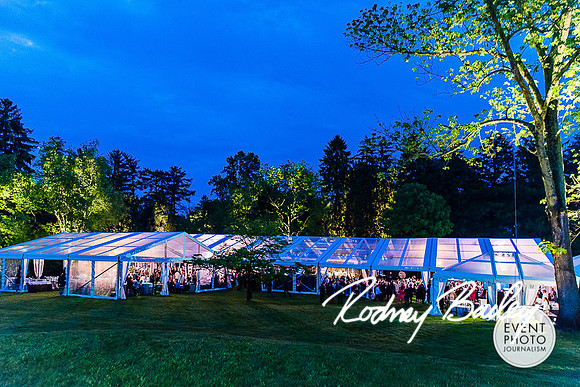 0012__0009__5-16-15 National Brain Tumor Society_Grey Soiree_Event Photojournalism_Virginia Event Photography