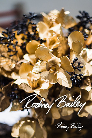 4-25-14 CORCORAN BALL DECOR_Rodney Bailey Photography_EventPhotojournalism_0099