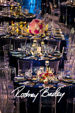 0027_Highlights_10-11-22_NOBLIS-Retirement_Party-Udvar-Hazy-Center-EventPhotojournalism-event-photographers