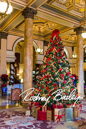 willard hotel-washington dc-rodney bailey