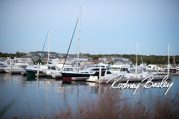 Chesapeake-Bay-Beach-Club-Wedding