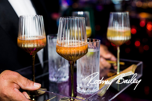 0171__8-2-25_Damien-Dwin-Celebration-National-Museum-of-African-American-Museum-Washington-DC-event-Rodney-Bailey-Photography