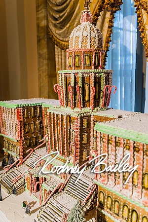 willard hotel-washington dc-rodney bailey