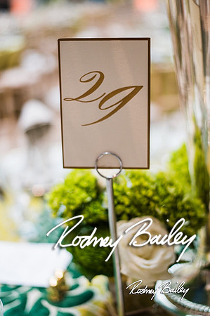 4-25-14 CORCORAN BALL DECOR_Rodney Bailey Photography_EventPhotojournalism_0019