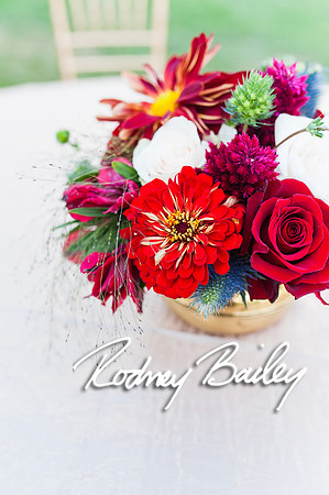 0005_9-12-14 Rockland Esates_Maryland Wedding Veue_Rodney Bailey Photography
