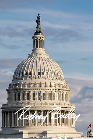 55328FB7-960F-4C34-9186-A251CBC78D7B Gary Guevara-2