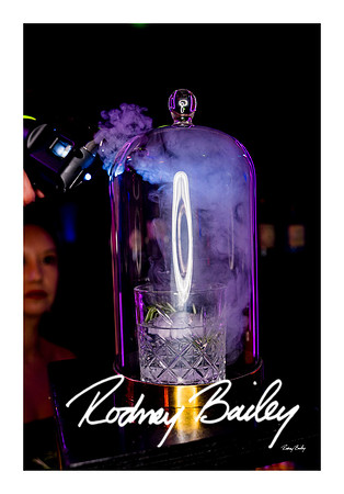 0940_1-11-25_Paul-50th-Birthday-Celebration-Renwick-Gallery-Washington-DC-Rodney-Bailey-Photography