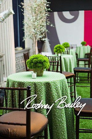 4-25-14 CORCORAN BALL DECOR_Rodney Bailey Photography_EventPhotojournalism_0109