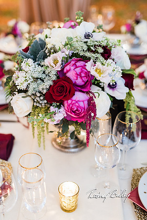 0358__3-1-15_Capital Bridal Affair and Fashion Show_The Mayflower Renaissance_Washington DC_Wedding Photography by Rodney Bailey