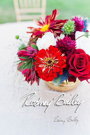 0005_9-12-14 Rockland Esates_Maryland Wedding Veue_Rodney Bailey Photography
