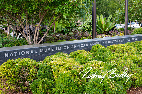 0064__8-2-25_Damien-Dwin-Celebration-National-Museum-of-African-American-Museum-Washington-DC-event-Rodney-Bailey-Photography