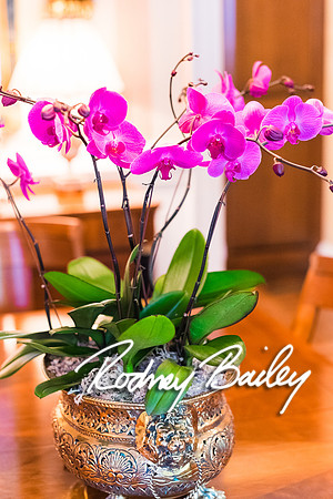 0254__10-28-14 _Bergerons Flowers_Rodney Bailey Photography