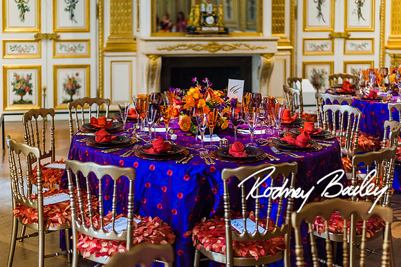 4-25-14 CORCORAN BALL DECOR_Rodney Bailey Photography_EventPhotojournalism_0387