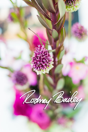 0052_10-26-14_The Atrium at Meadowlark Gardens Wedding_ Open House_Rodney Bailey Photography