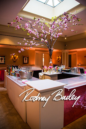 5-10-14_Mitzvah-Decor_Rodney Bailey_0099