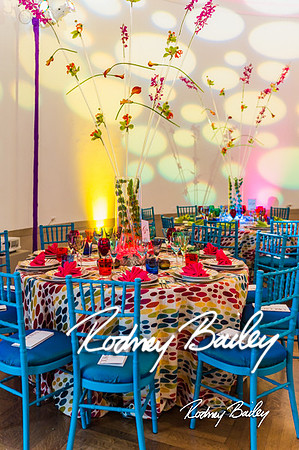 4-25-14 CORCORAN BALL DECOR_Rodney Bailey Photography_EventPhotojournalism_0126
