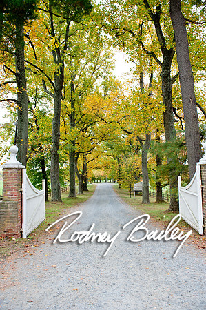 Oatlands Historic House and Gardens Weddings_wedding photography Oatlands Historic House and Gardens Virginia_Oatlands Historic House and Gardens Leesburg Virginia Wedding Photographer