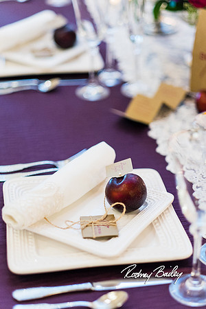 0300__3-1-15_Capital Bridal Affair and Fashion Show_The Mayflower Renaissance_Washington DC_Wedding Photography by Rodney Bailey