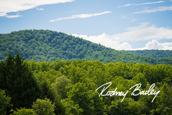 northern-Virginia-wedding-photographer-Rodney-Bailey-Photography__1552