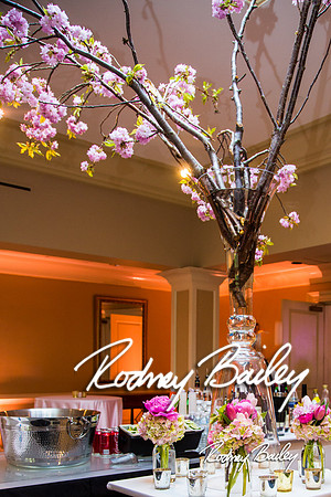 5-10-14_Mitzvah-Decor_Rodney Bailey_0045