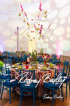 4-25-14 CORCORAN BALL DECOR_Rodney Bailey Photography_EventPhotojournalism_0048
