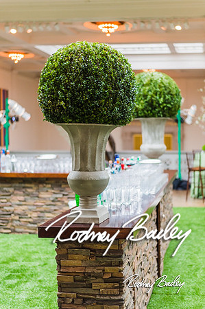 4-25-14 CORCORAN BALL DECOR_Rodney Bailey Photography_EventPhotojournalism_0103