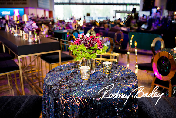 0089__8-2-25_Damien-Dwin-Celebration-National-Museum-of-African-American-Museum-Washington-DC-event-Rodney-Bailey-Photography